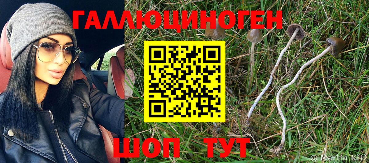 дарнет шоп  Вход с VPN  Борзя  Галлюциногенные грибы Psilocybe  Галлюциногенные грибы ЛСД 