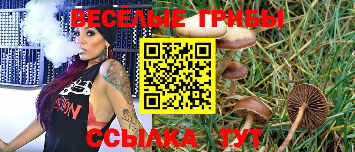 Псилоцибиновые грибы GOLDEN TEACHER Борзя